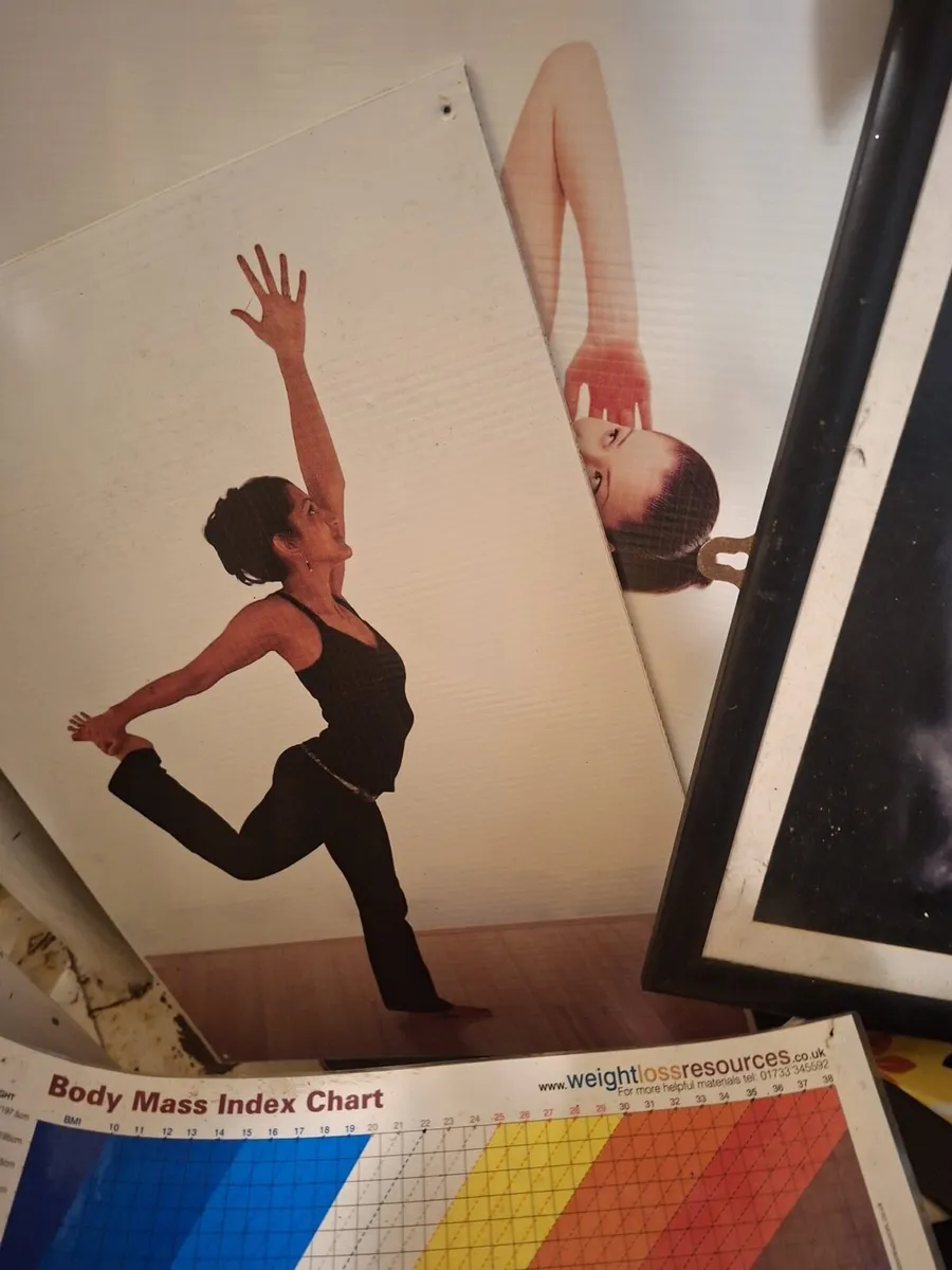 ** Various Gym Equipment ** - Image 2