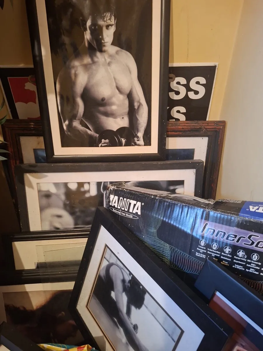 ** Various Gym Equipment ** - Image 4