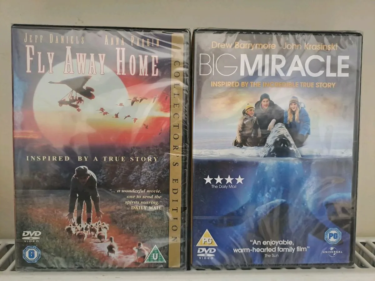 Kids dvd bundle - Image 4