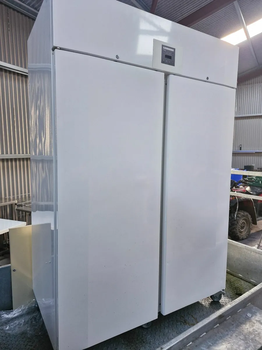 Freezer box - Image 2