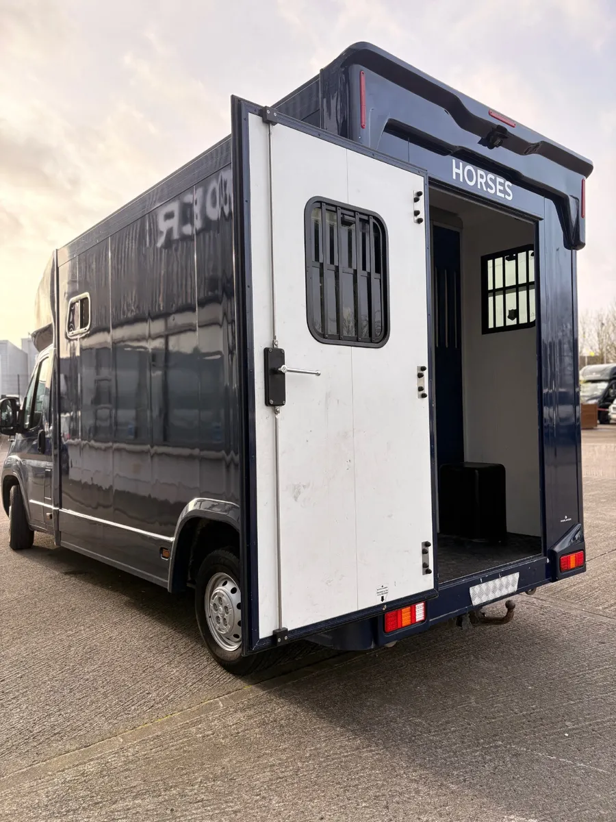 Overlander 2 Stall Horsebox - Image 3