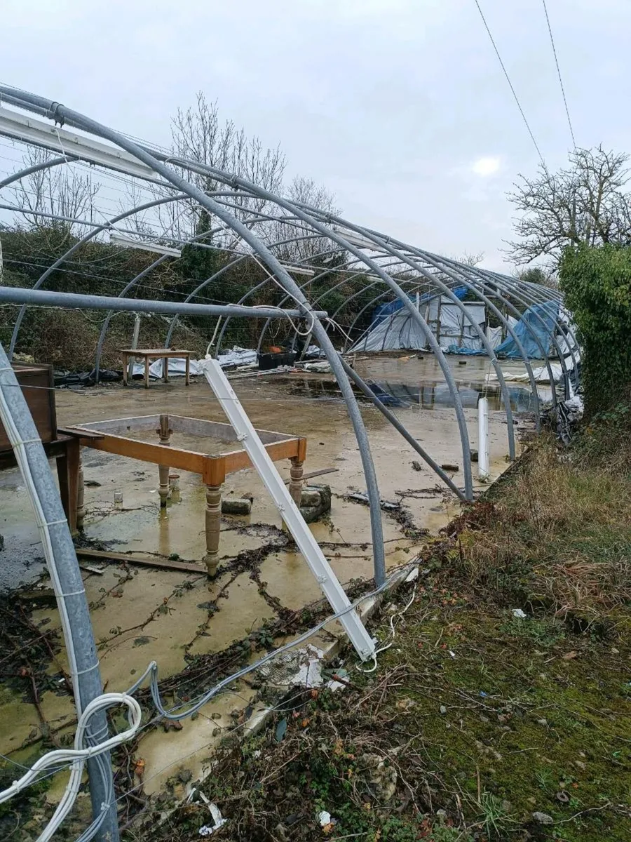 Mushroom sheds - Image 2