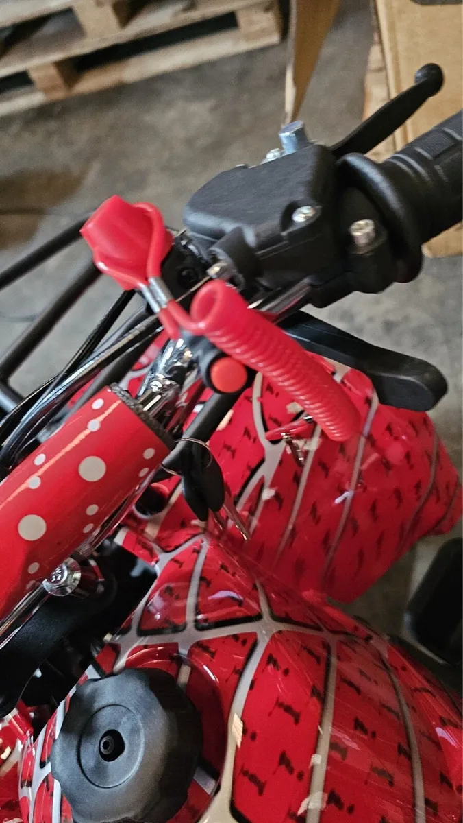 New MMX 52cc kids farm quads €650 - Image 3