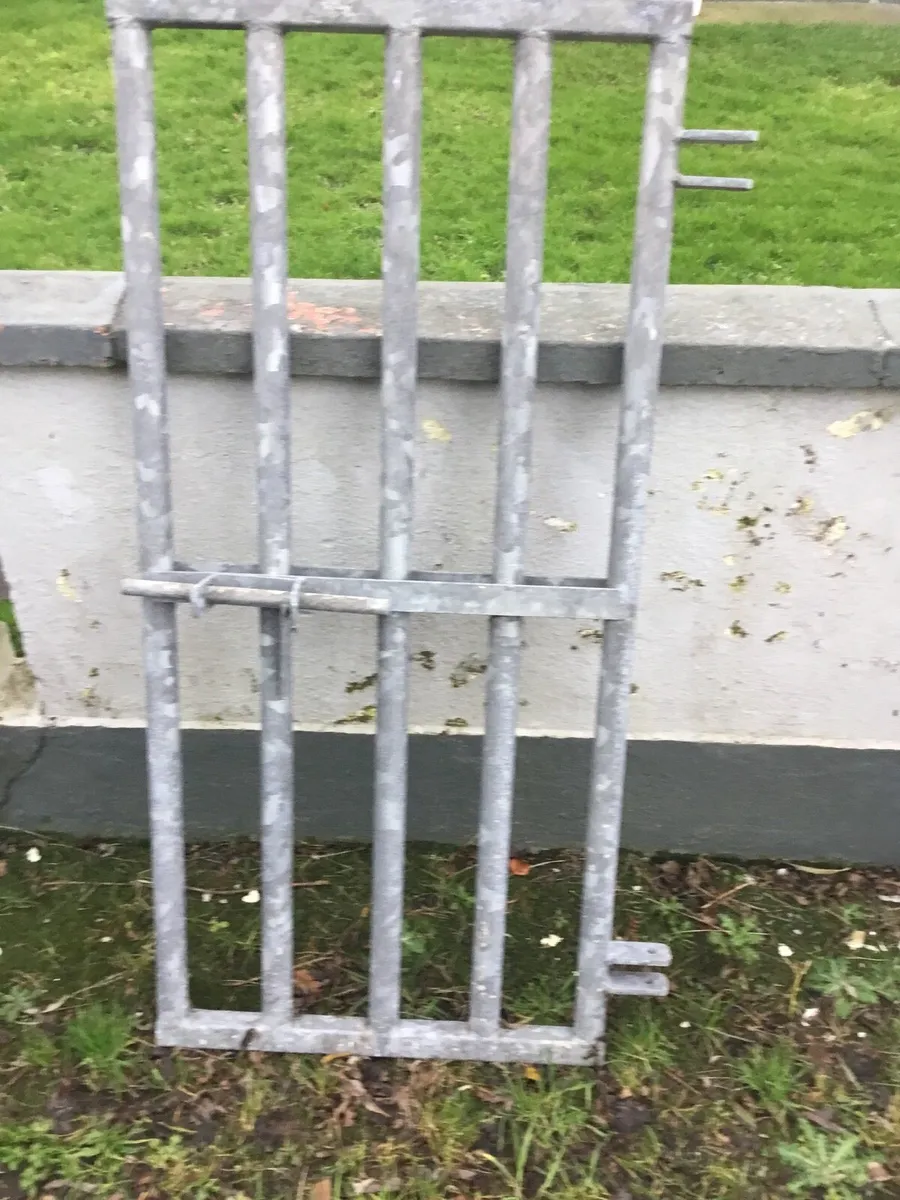 Automatic skulling gate - Image 1