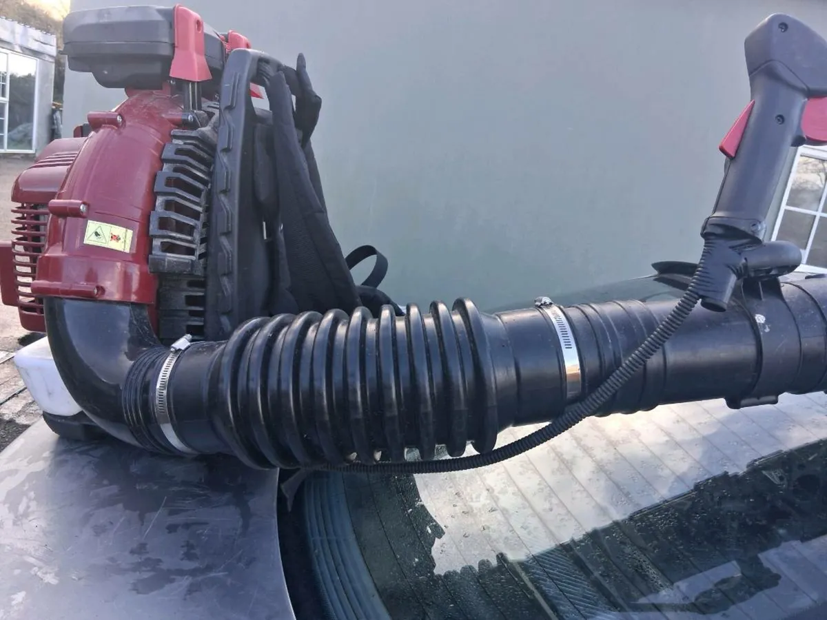 Leaf blower for sale - Image 2