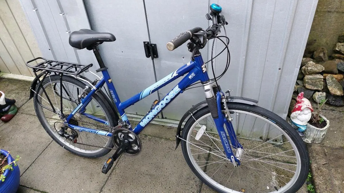 Ladies Pro Trekking Bike - Image 1