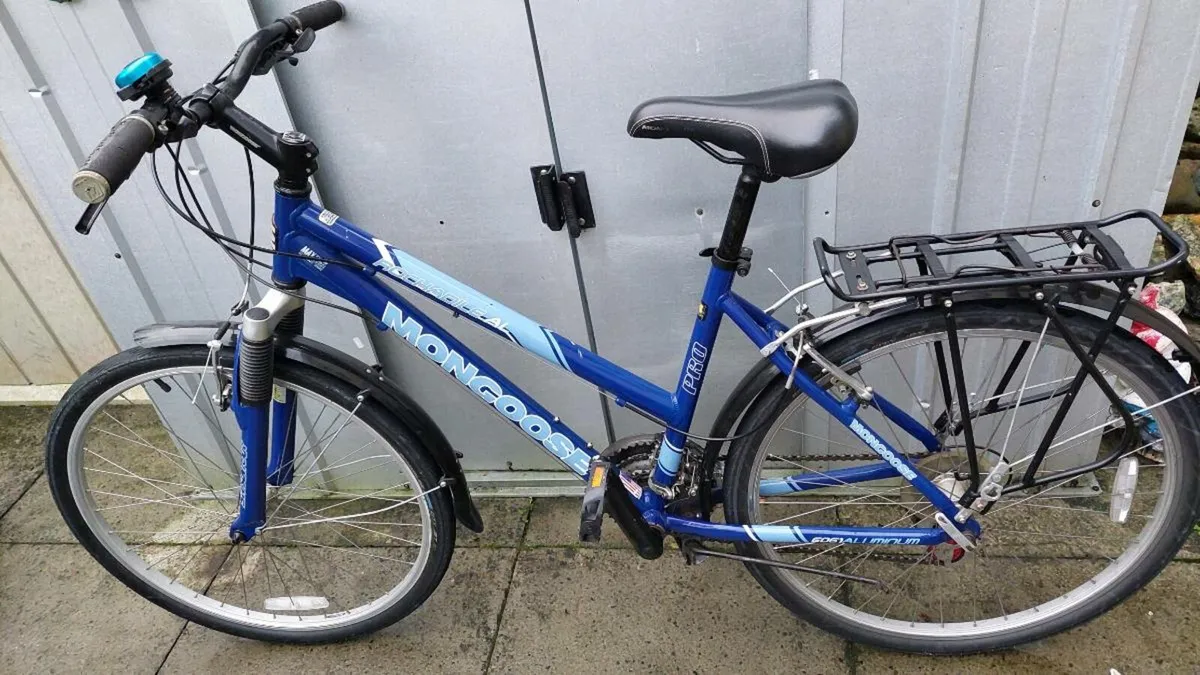 Ladies Pro Trekking Bike - Image 2