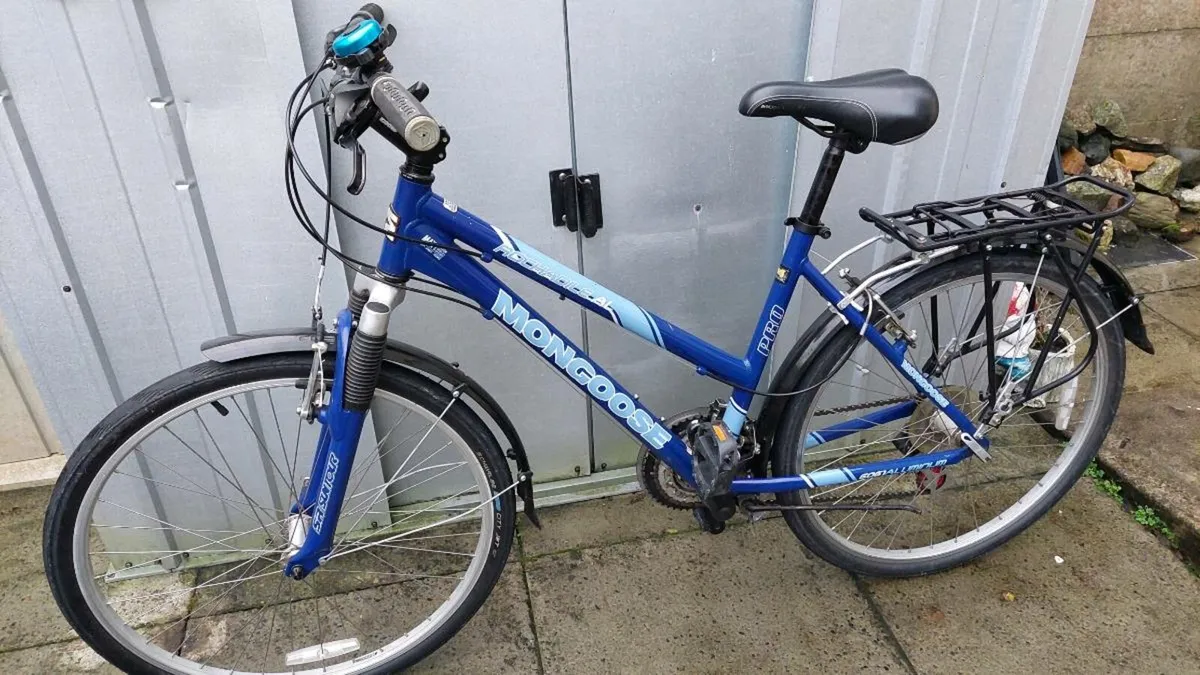 Ladies Pro Trekking Bike - Image 4