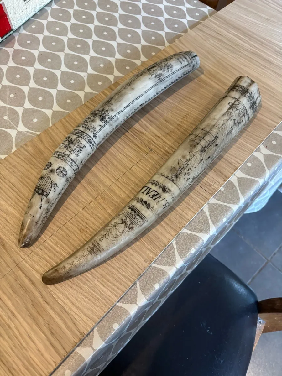 Reproduction Scrimshaw - Image 1