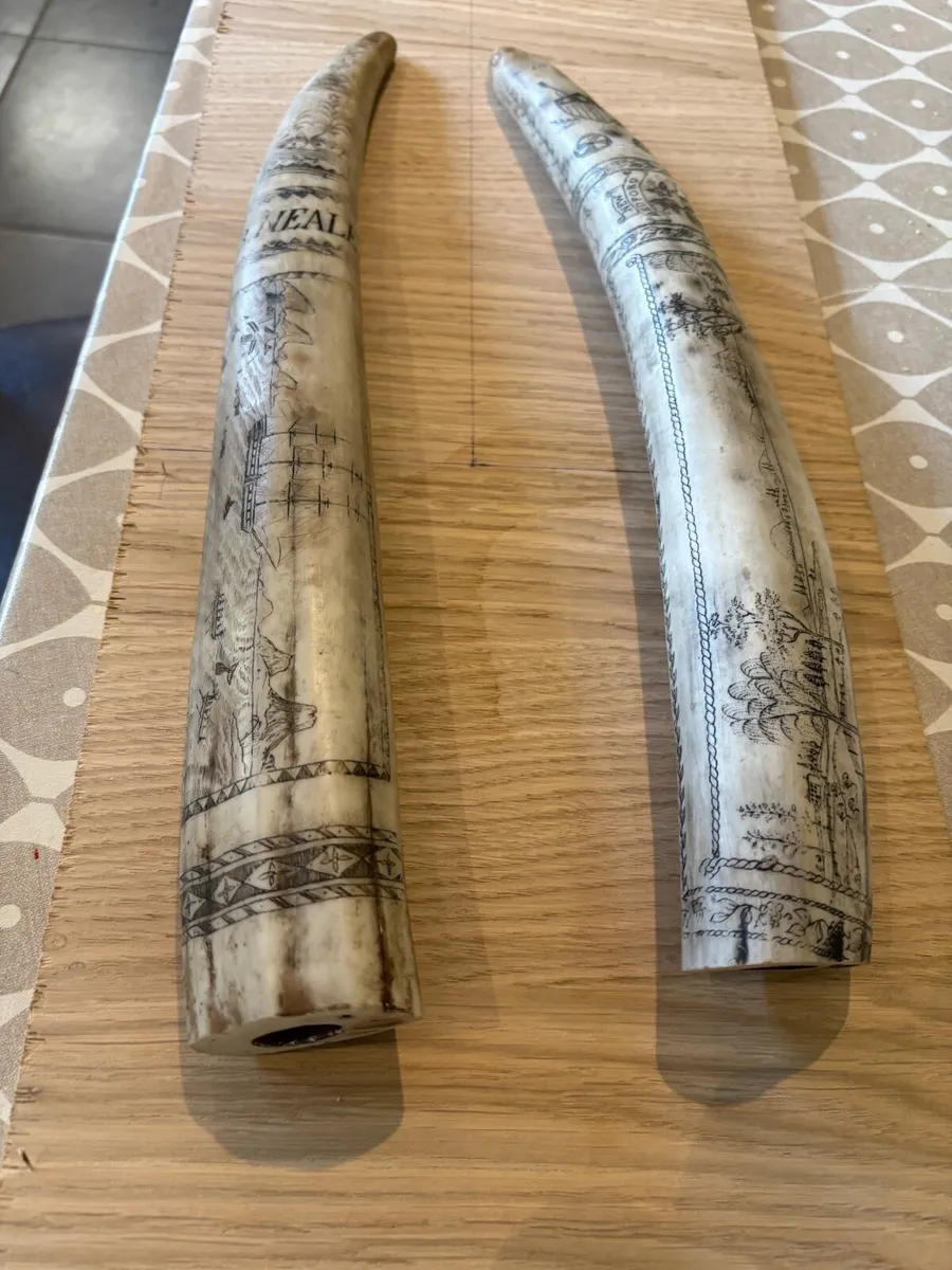 Reproduction Scrimshaw - Image 2