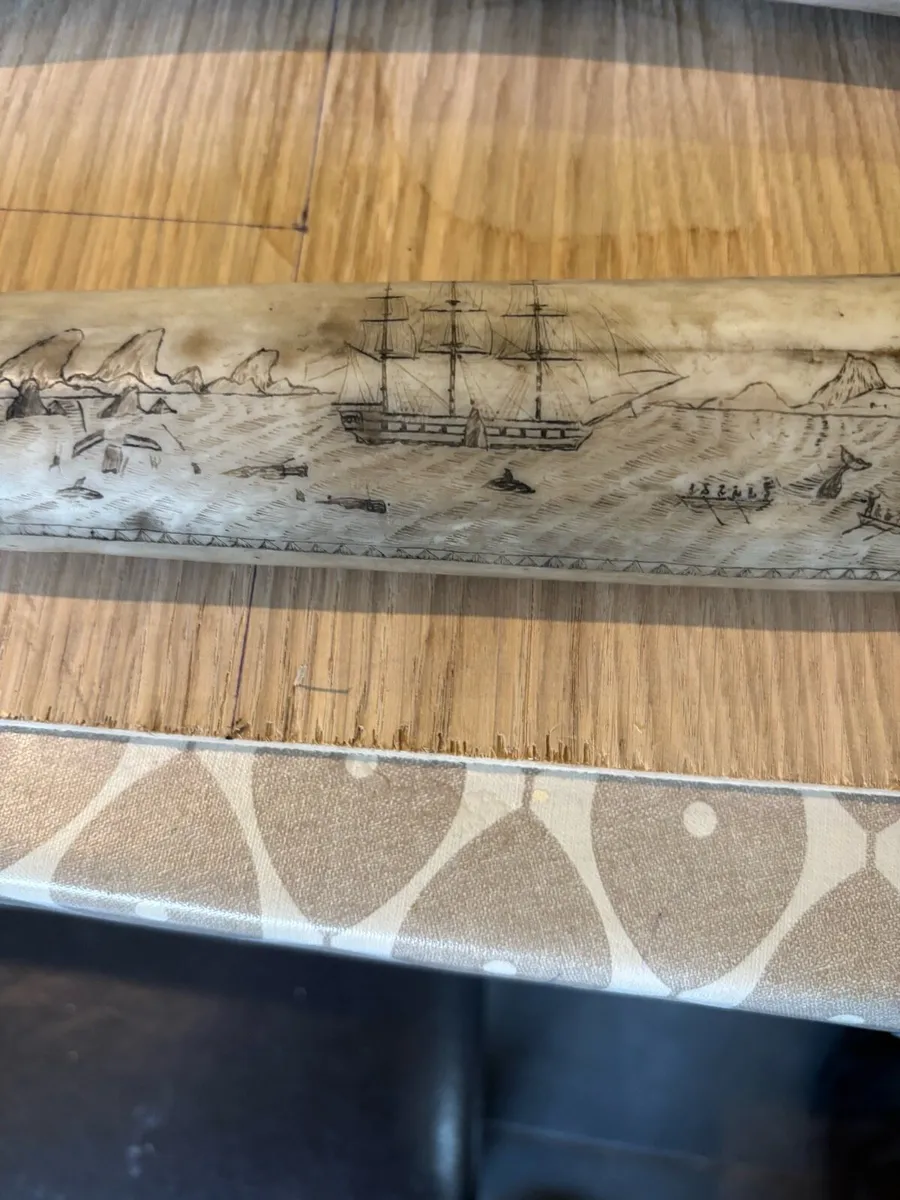 Reproduction Scrimshaw - Image 3