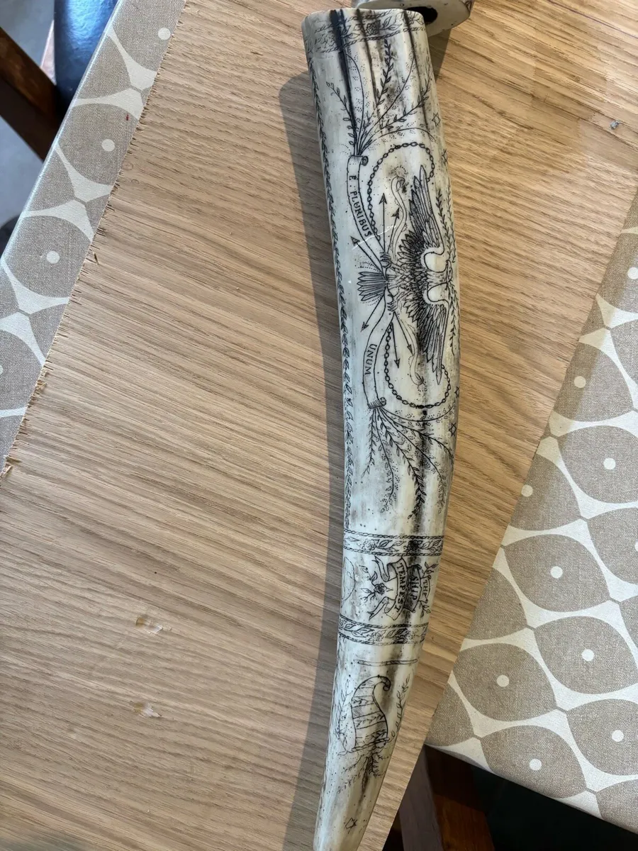 Reproduction Scrimshaw - Image 4