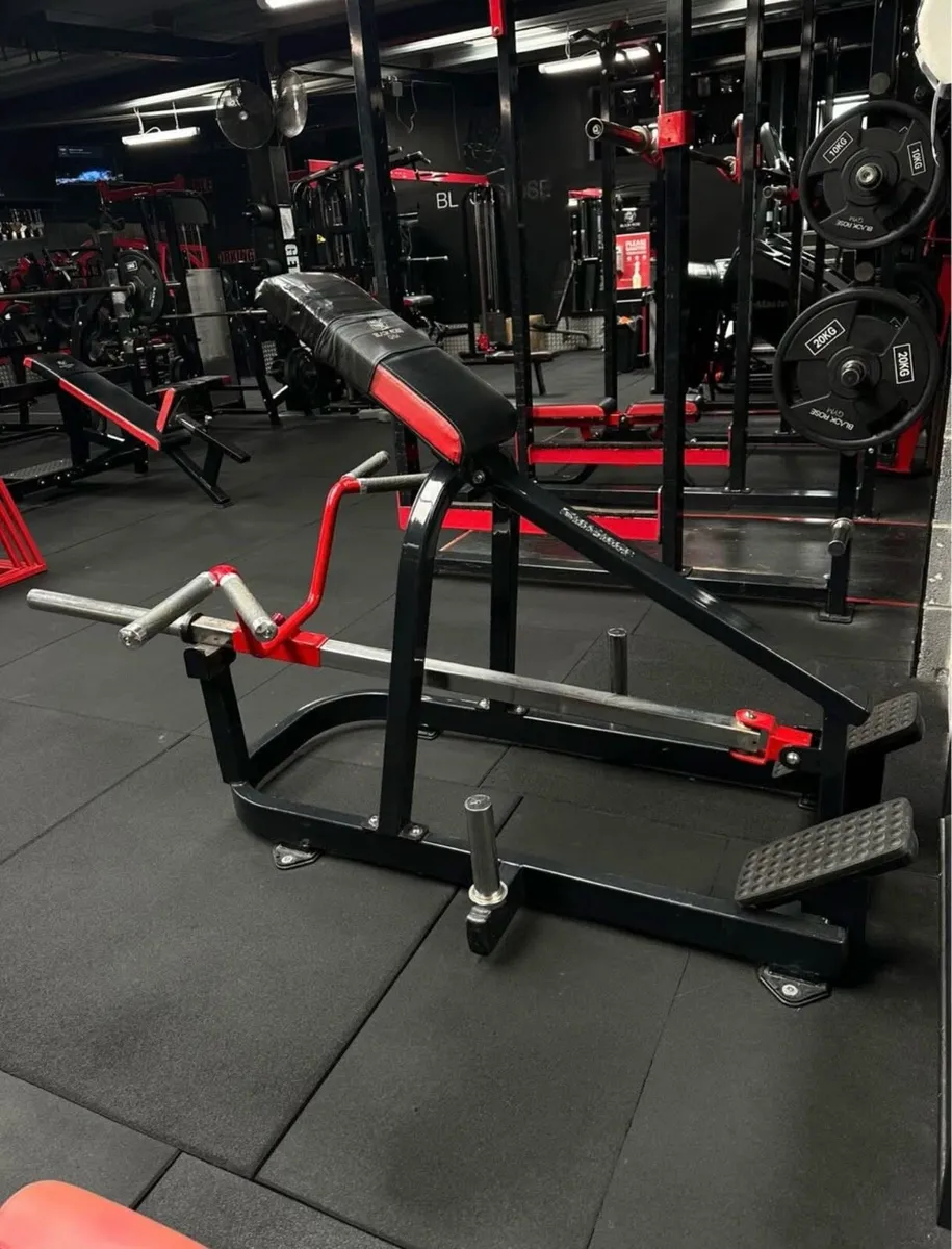 Realleader USA Lying T-Bar Row - Image 1