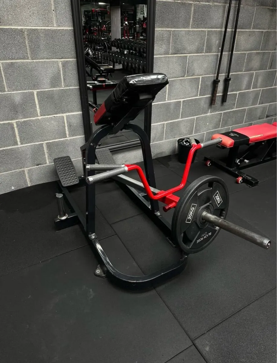 Realleader USA Lying T-Bar Row - Image 3