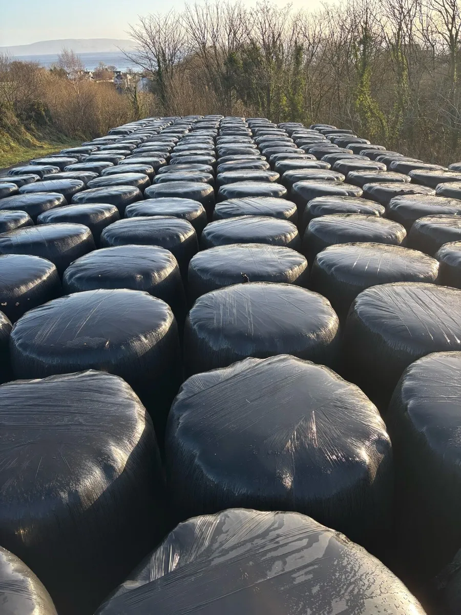 Silage bales