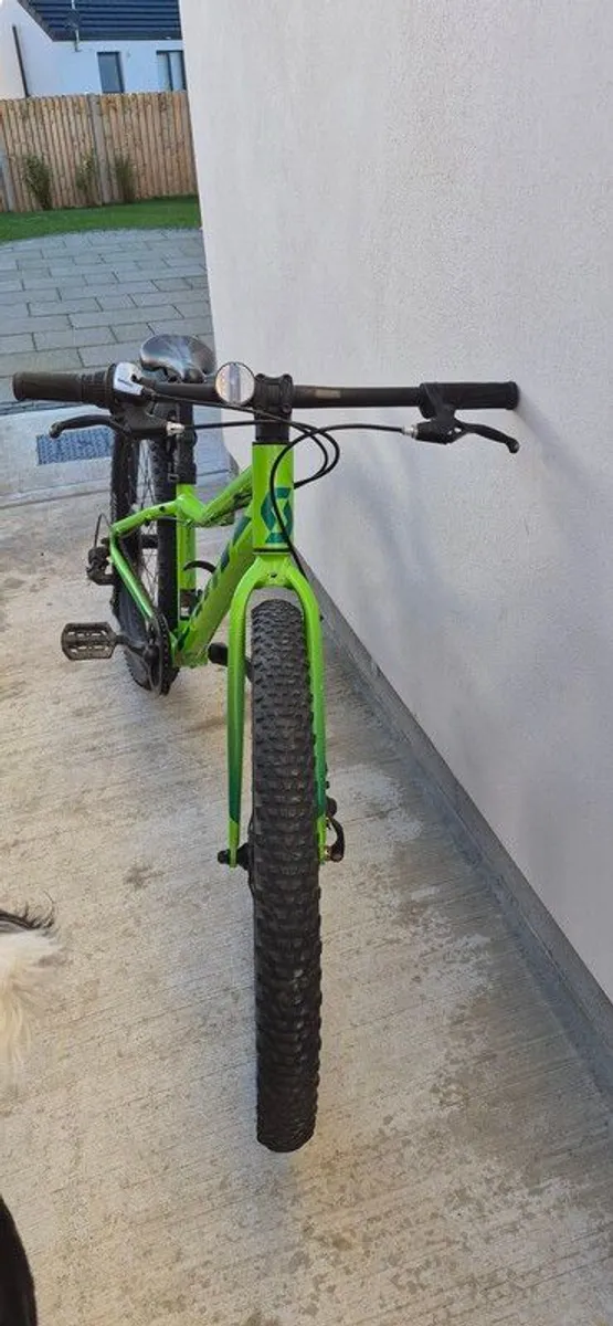 Scott Scale 24" Green Bike - Image 2