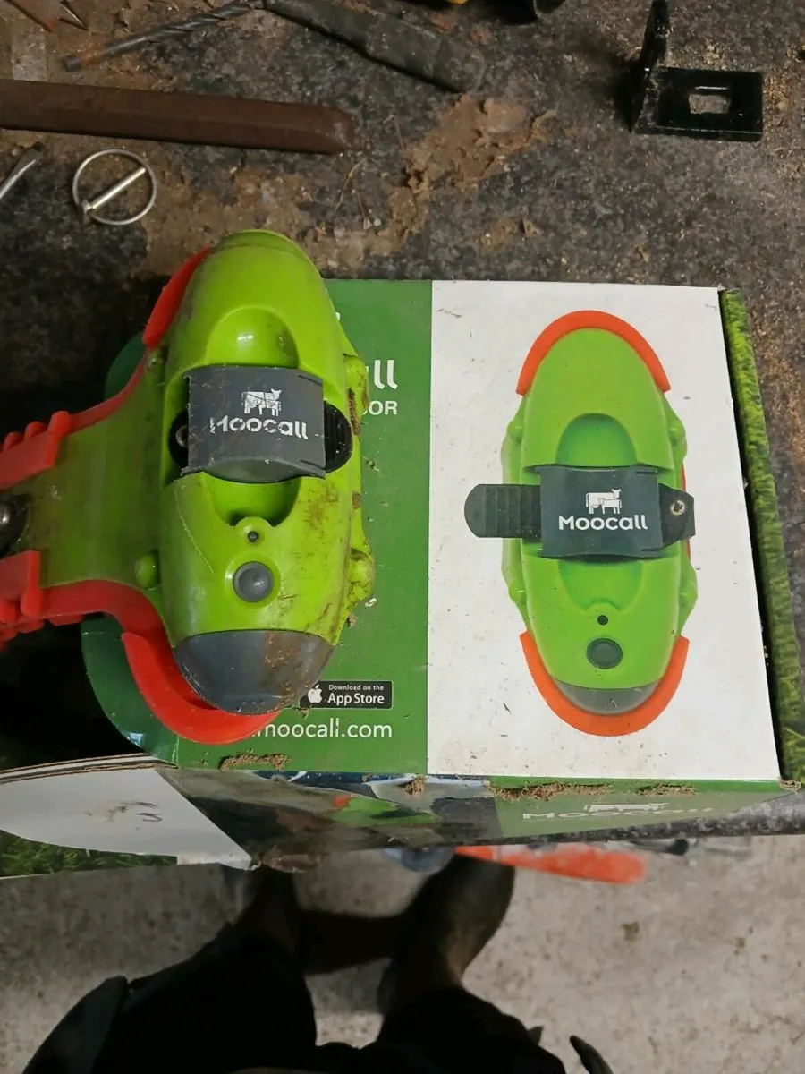 Moo call - Image 1
