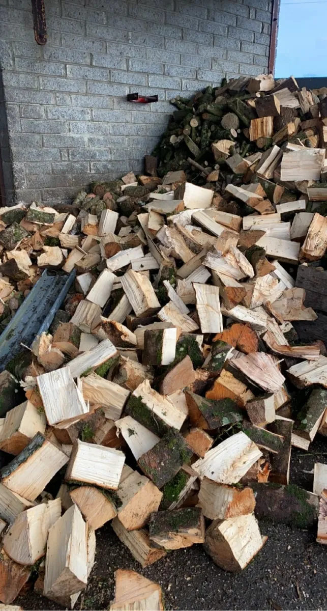 Firewood - Image 1