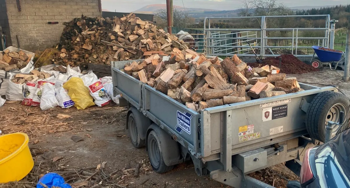 Firewood - Image 4