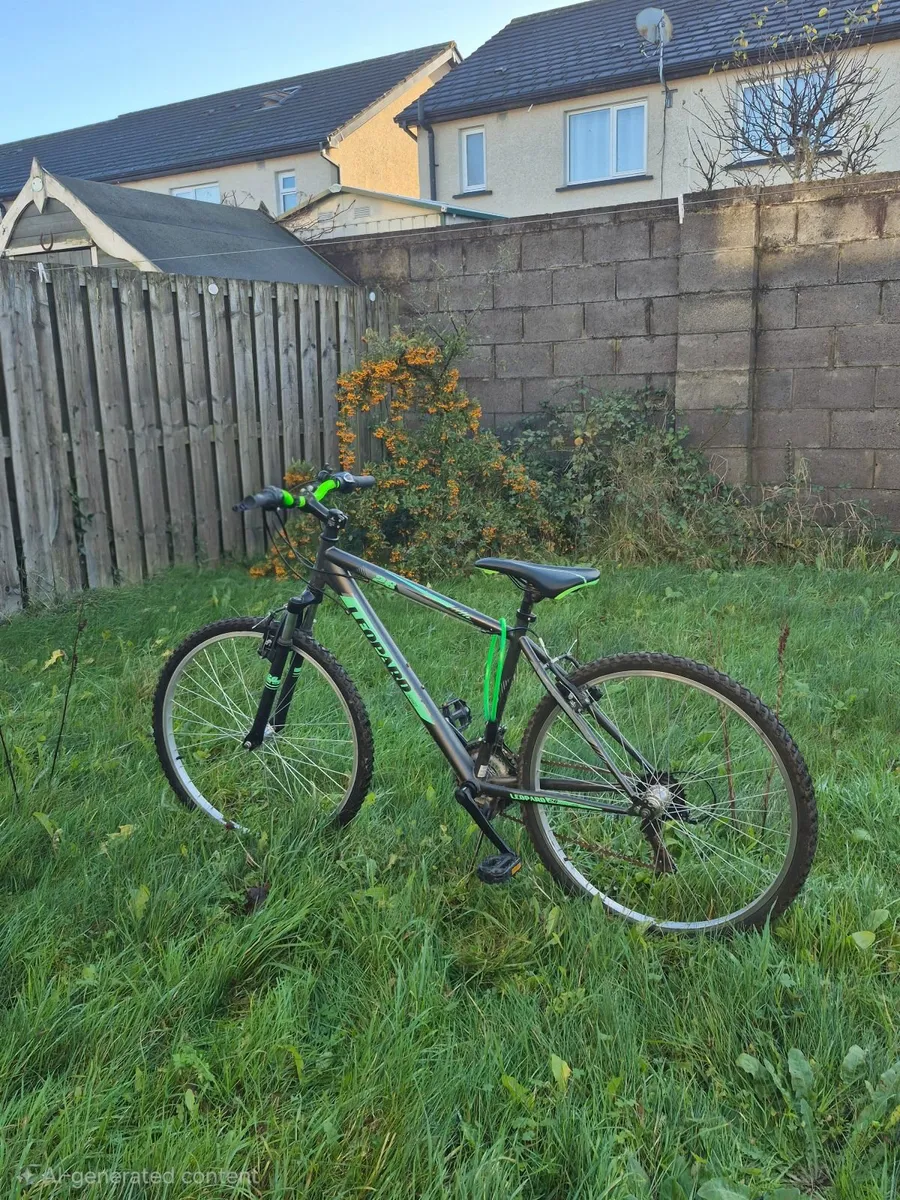 Young Adult Bike – 24 Inch, Green