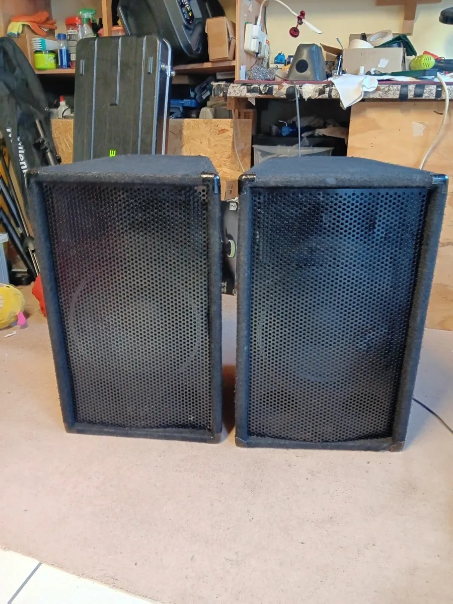 FANE 12'' 300W SPEAKERS - Image 2