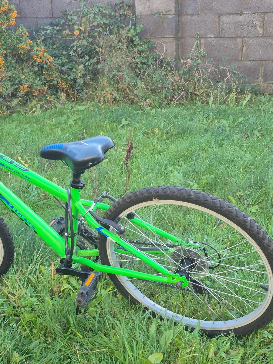 Children's Cycle – 20 Inch, Green - Image 2