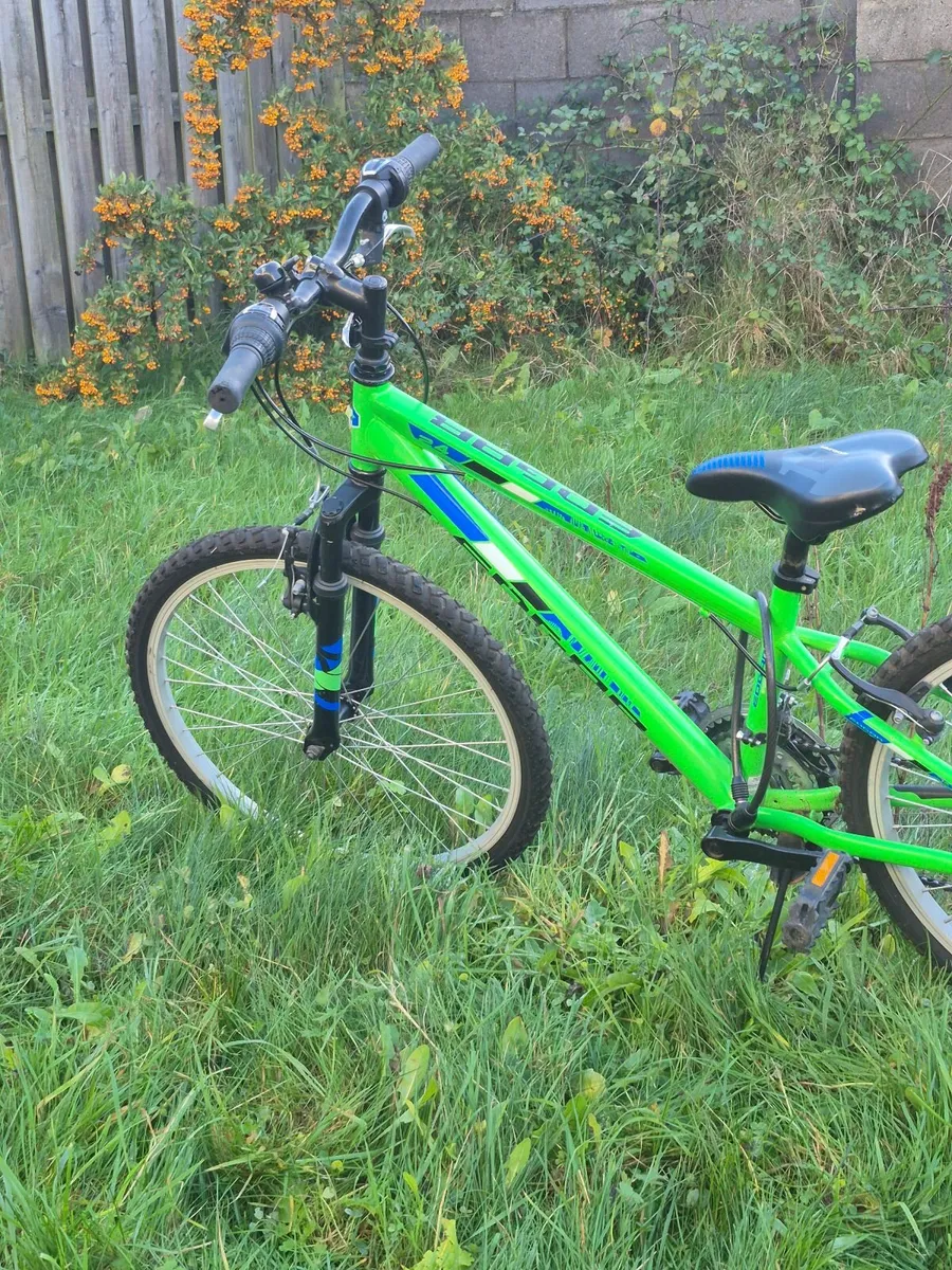 Children's Cycle – 20 Inch, Green - Image 4