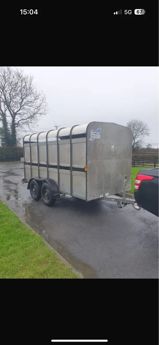 Iforwilliams cattle trailer 12 x 6 - Image 4