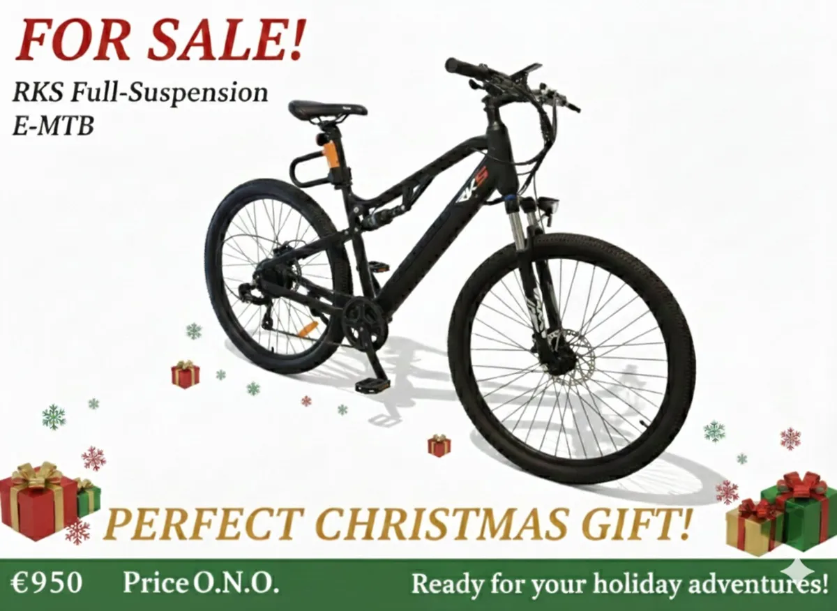 Electric Dual Suspension MTB - Image 1