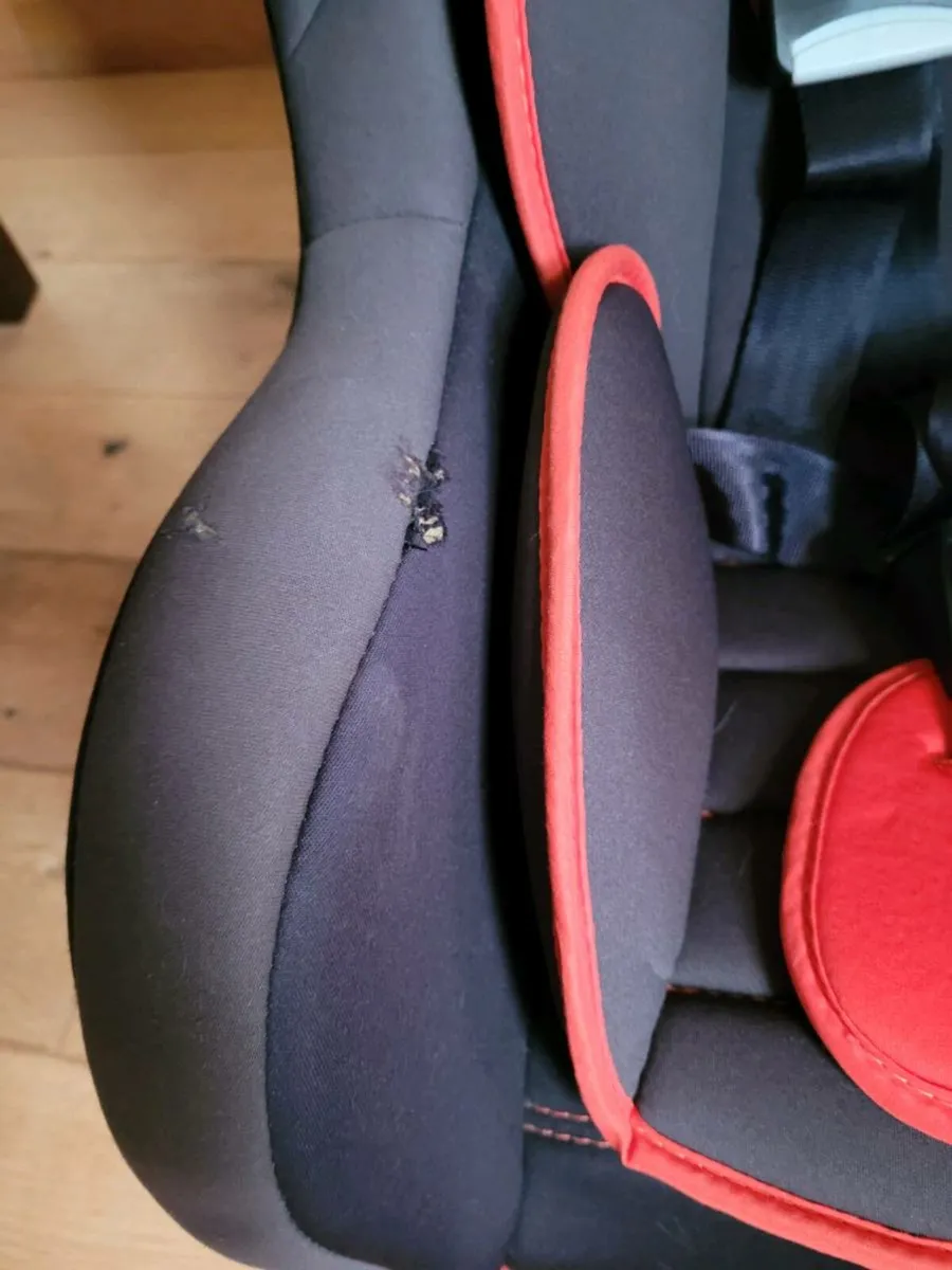 Furniture, Child Car Seat, Carpet Shampooer - Image 4