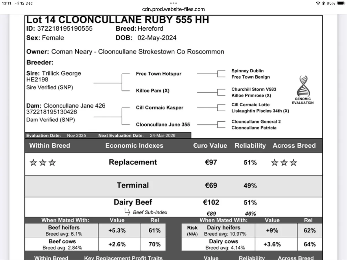 Lot 14 Tullamore Saturday 13th - Image 4