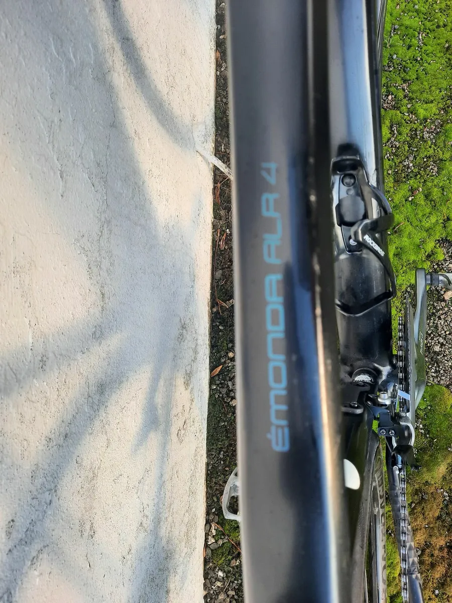 TREK Emonda ALR4 2022 - Image 1