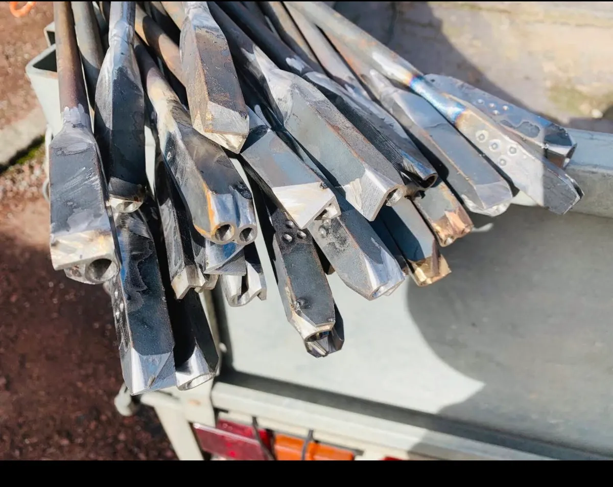 Sheep Horn-brands - Image 4