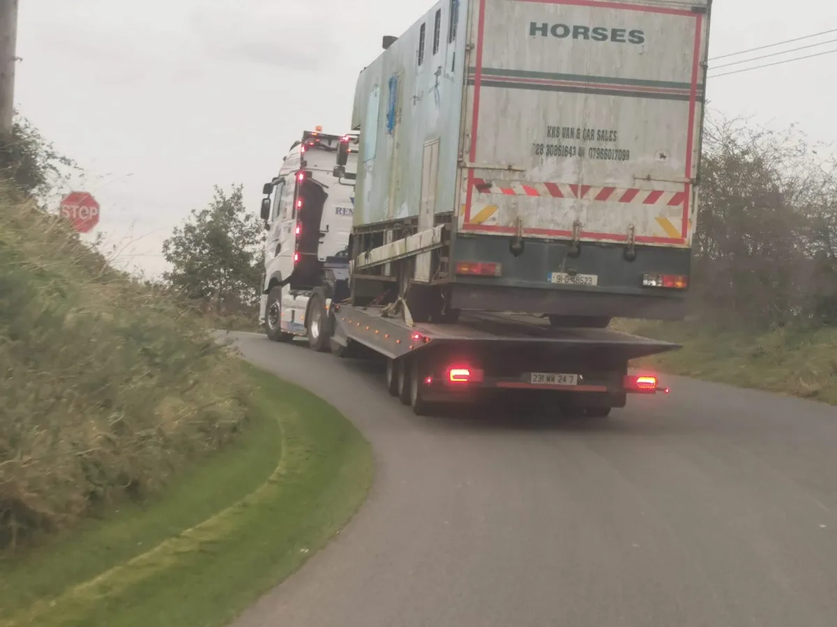 Man Other 2008 - Image 3