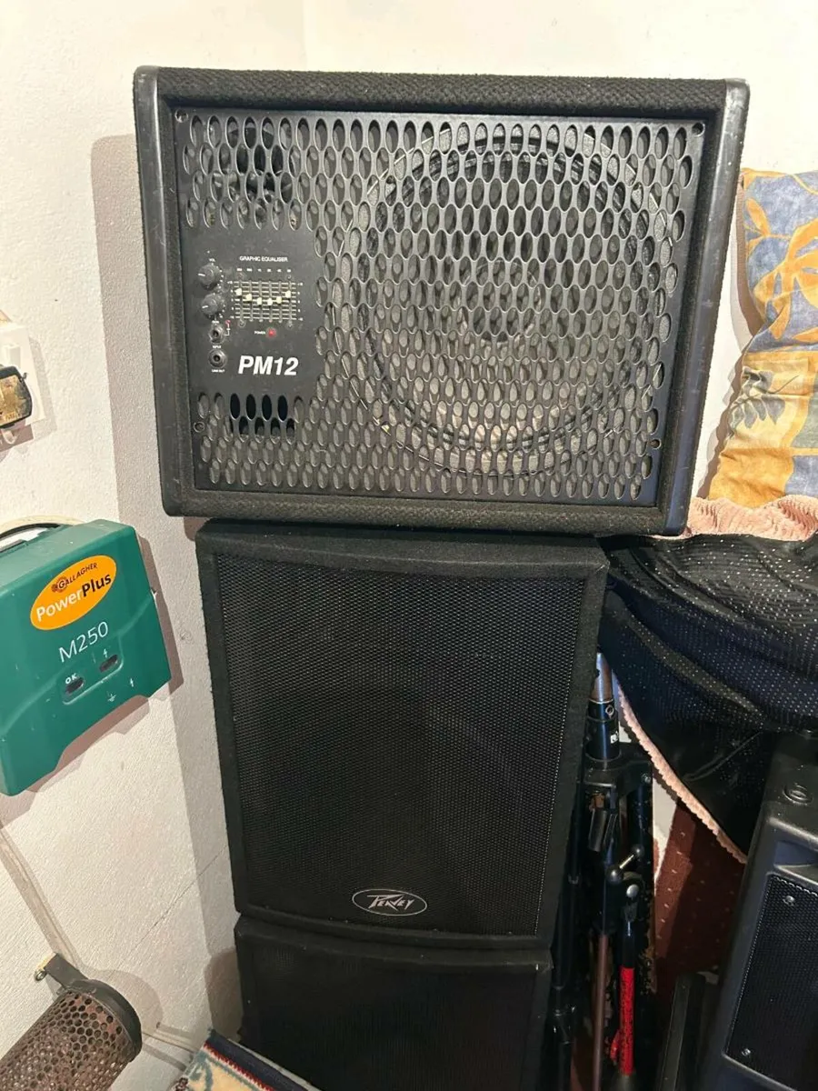 Peavey Speakers with Monitor - Image 1