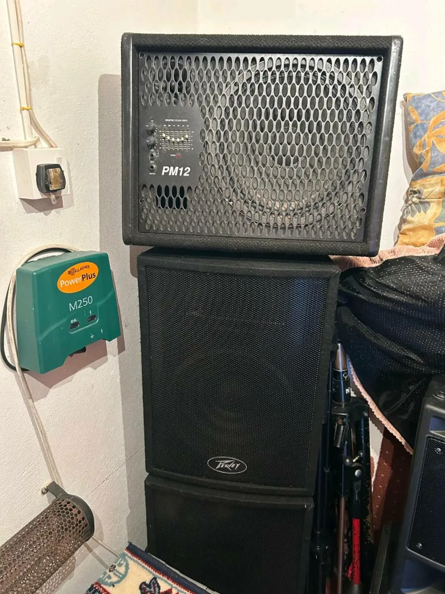 Peavey Speakers with Monitor - Image 3