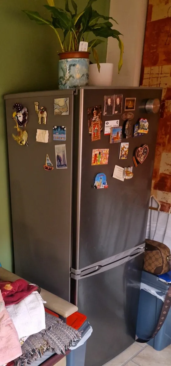 Belling freestanding Fridge freezer