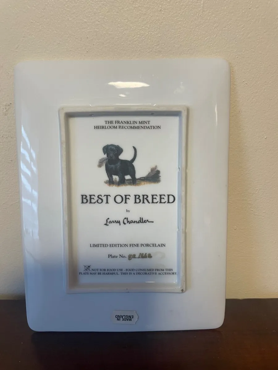 LABRADOR & PUP LIMITED EDITION PLATE - Image 2