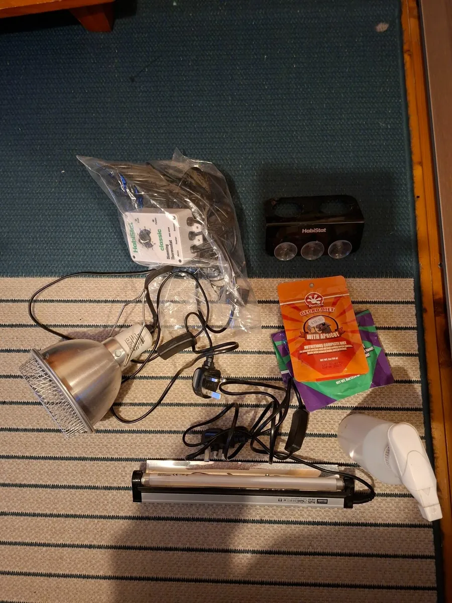 Reptile tant with lights - Image 3