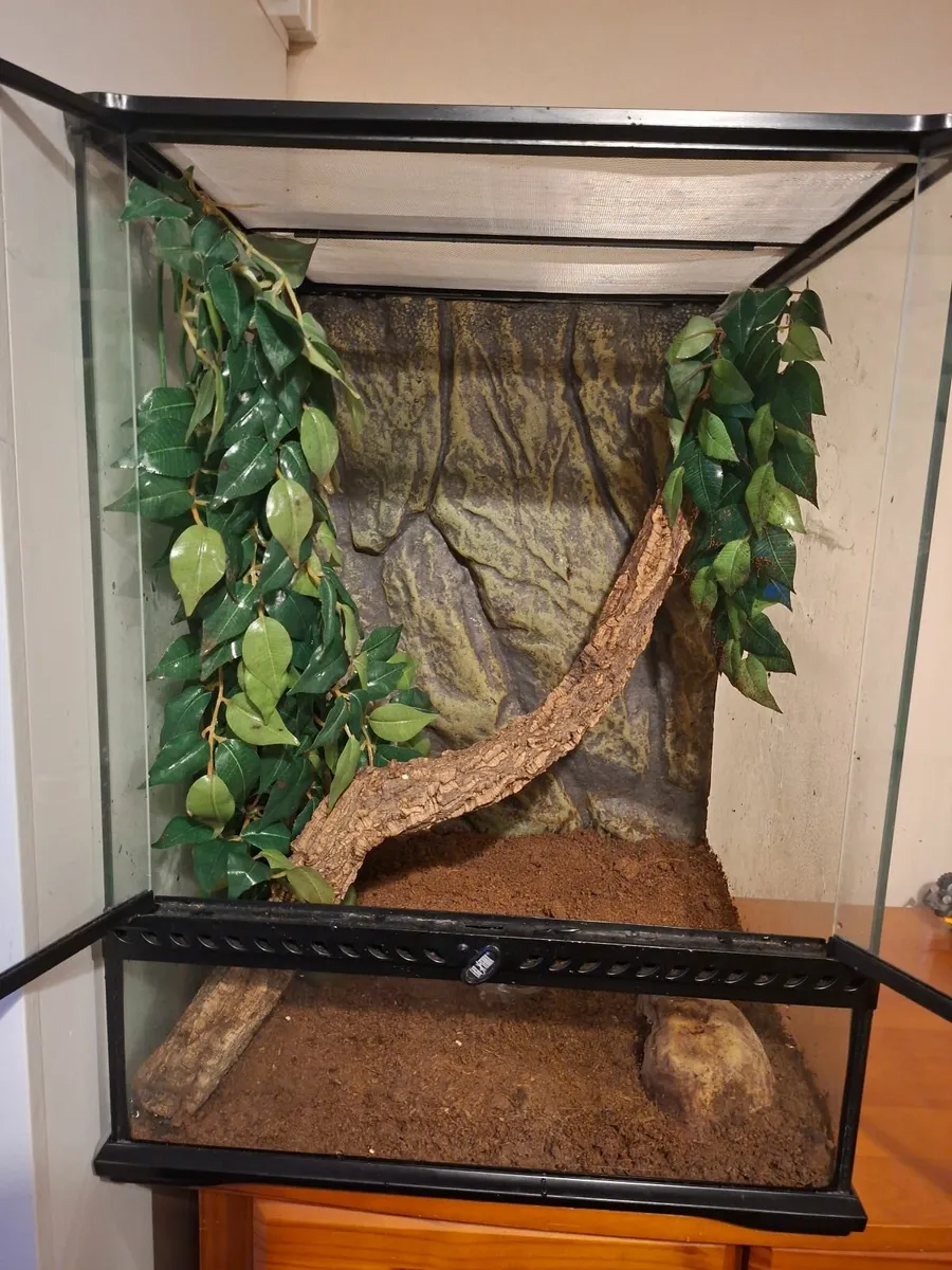 Reptile tant with lights - Image 4