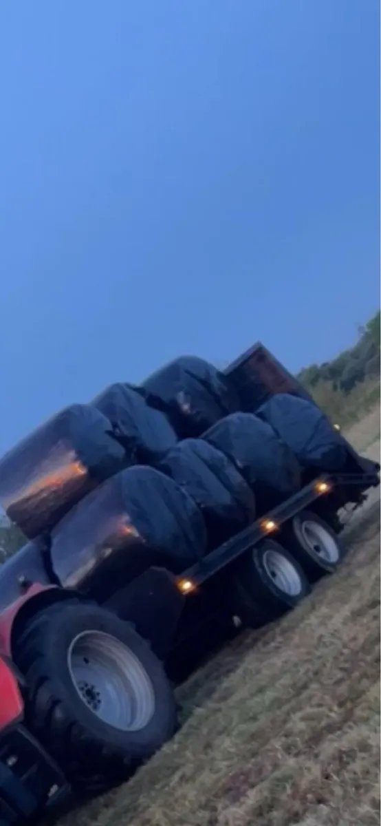 Digger trailer - Image 1