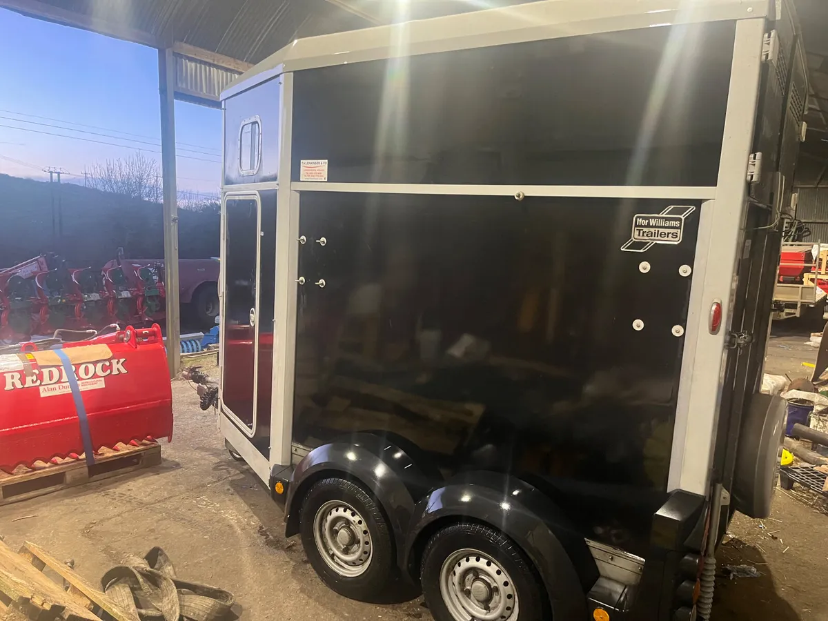 Used Ifor Williams HB506 Horsebox - Image 2