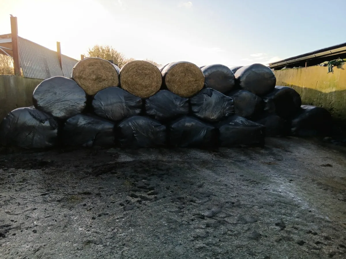 Top Quality Silage Bales
