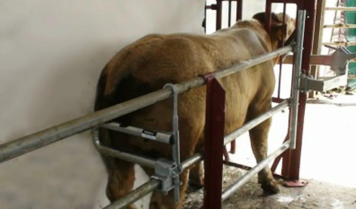 Swinging Backing bar - Image 1