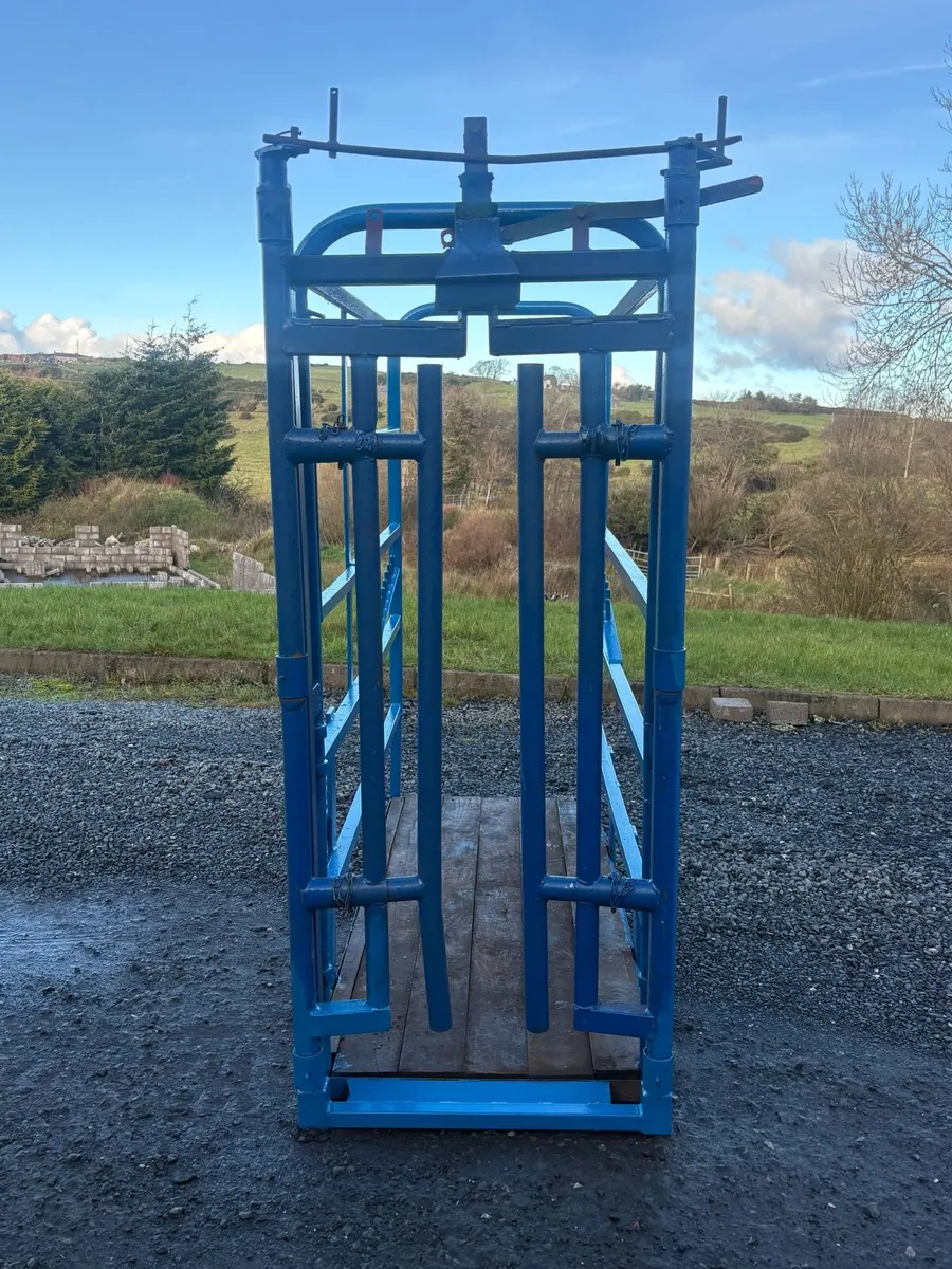 Potable cattle Crush - Image 1