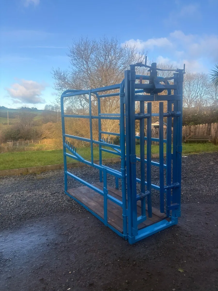 Potable cattle Crush - Image 3