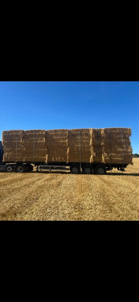 8x4x3 straw - Image 2