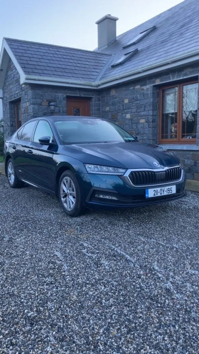 2021 Skoda Octavia - Image 1