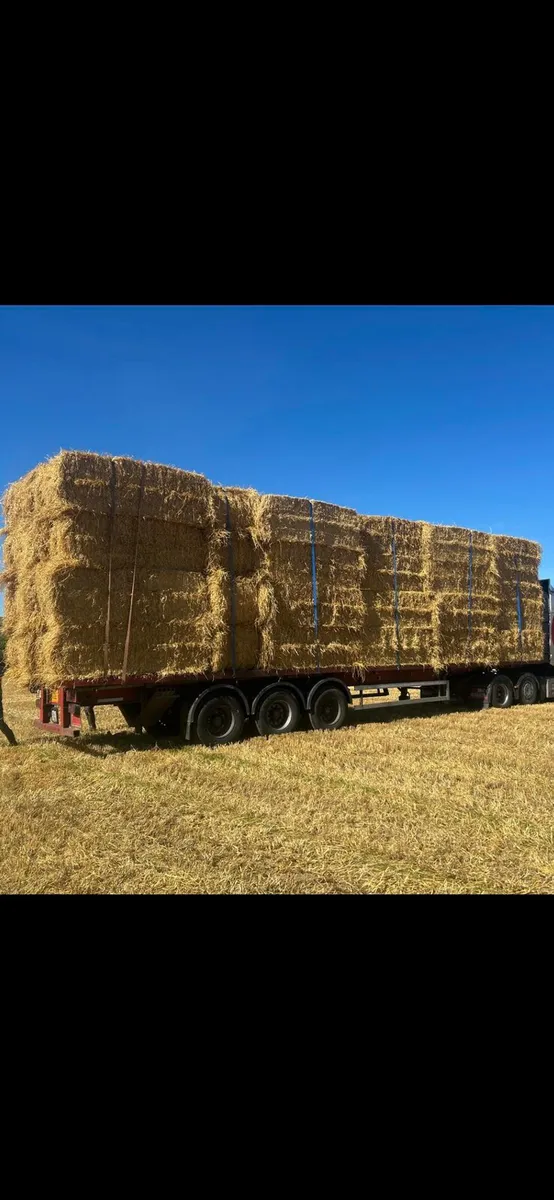 Shed stored straw - Image 2