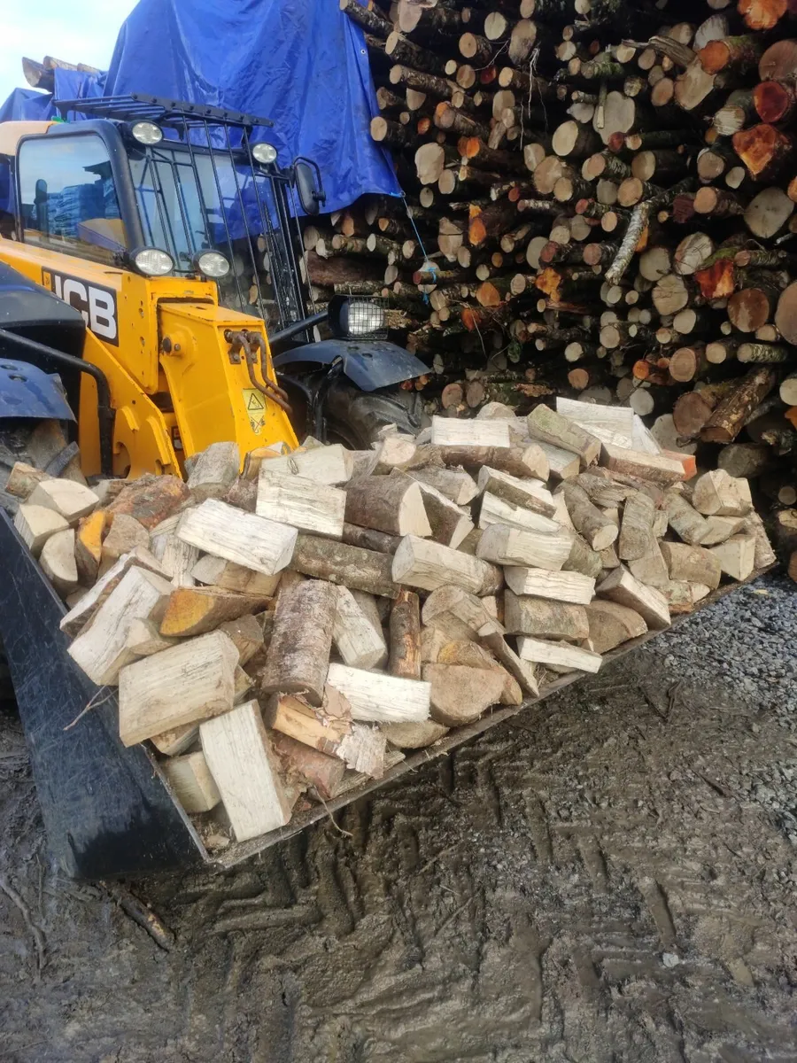 Firewood ,Kindling - Image 4